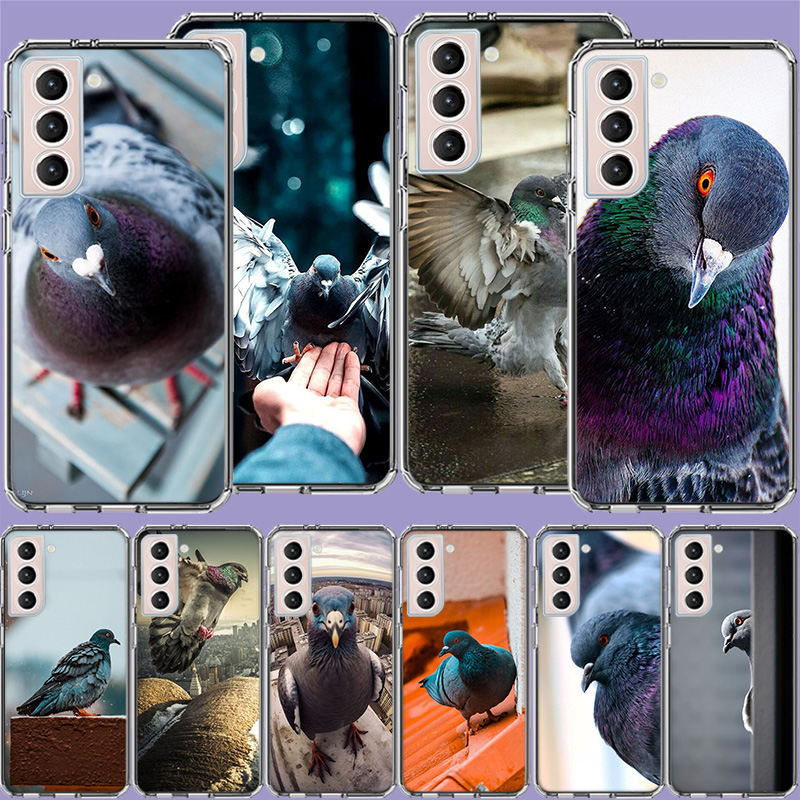 Peace Pearl Nautilus Clear Pho - Phone Cases Com incelemesi ve fiyatı